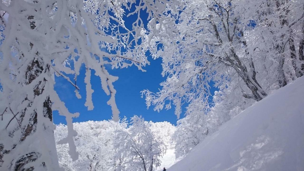 Nozawa Dream Central Eksteriør billede