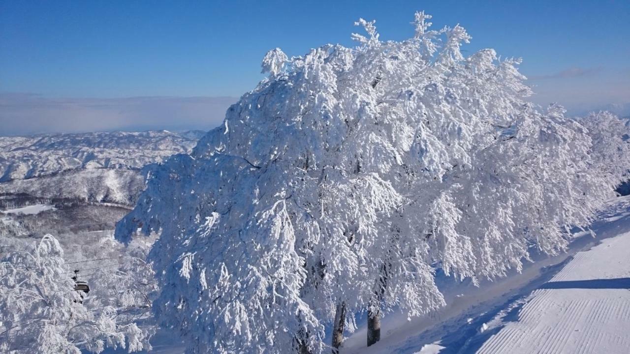 Nozawa Dream Central Eksteriør billede