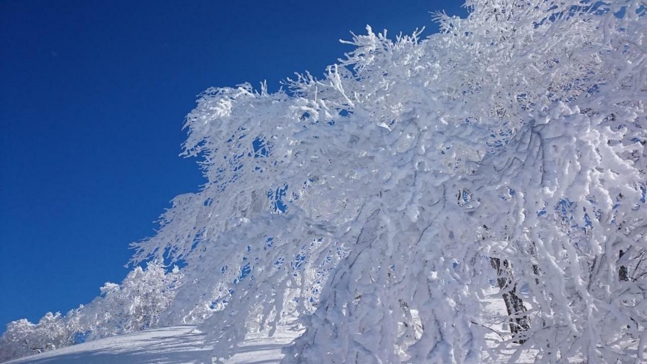 Nozawa Dream Central Eksteriør billede